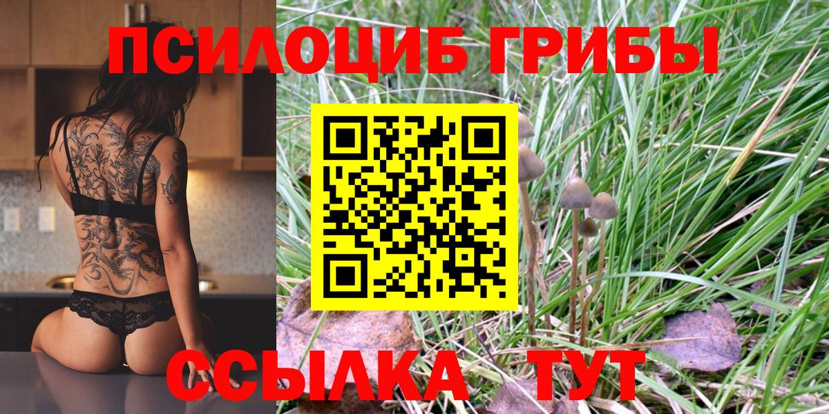 Кимры  Галлюциногенные грибы MAGIC MUSHROOMS  цена наркотик  Вход с VPN 